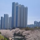 해수천2호 이미지