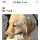 신전떡볶이운남점 이미지