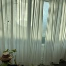 스테이 파랑 이미지