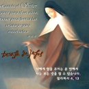 가르멜의 꽃 FLOS Carmeli, 이미지