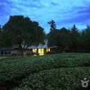 설아다원 이미지