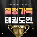국가대표정태권도
