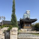 다온 디저트 베이커리 | 부산 강서구 카페 다온나루 후기 | 한옥감성 야외 웨딩 가능 카페