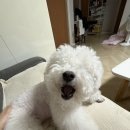 안녕하신지