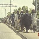 셀마