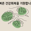 남산태평양약국 이미지