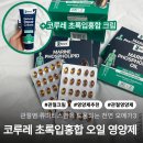 코루레(Korure) 네이버블로그