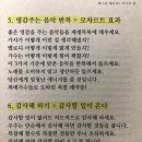 타이탄도파민