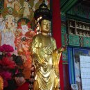 제주 정광사 소조미륵여래입상 | [향토문화] 조선시대 작품과 비교돼..해안동 정광사 소조미륵여래입상(塑造彌勒如來立像)