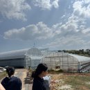 맛디아농장 이미지