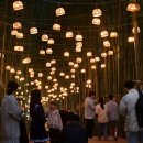 담양 반딧불 이미지