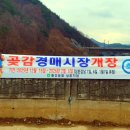 황간시장 이미지