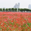 서운체육공원 (계양체육관) 이미지