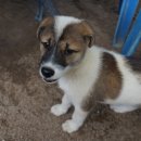 진순2호 이미지