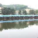 도곡낚시터 이미지