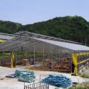 금산축협 생축장 이미지