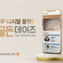 오렌지솔루션 이미지