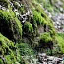 의령 고산재 이미지