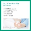 브레인파워코칭센터 네이버블로그