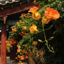 김해수로왕릉 이미지