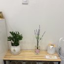 은하some | [부천] 바디관리 : 오행테라피 / 아로마 관리 / 부천 전신관리추천