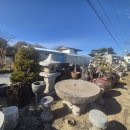 운림농원 이미지