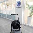 정창수외과동물병원 이미지