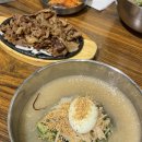 우일애견 이미지