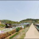 황정리 과수원 네이버블로그