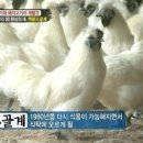 용가네 이미지