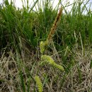 영암우체국 이미지