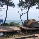 중문단지축구장 네이버블로그