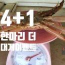 하얀수입품 이미지