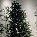 테소로 | 울산 동구 꽃집 테소로, 피치톤 꽃다발에 반한 후기