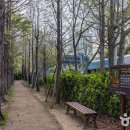 숲 바다 이미지