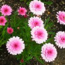 회기어린이집 이미지