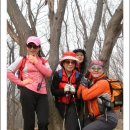 분당-183 이미지