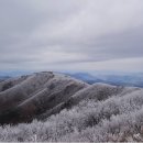 소백산에서 이미지