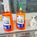 청송로 | 파주눌노리체험캠핑장 아이랑 함께 내돈내산 할로윈 후기