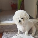 인터라켄 PC방 이미지