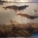 남당항방장수산
