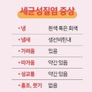 재우환경 | 세균성질염 증상 냄새 심해져서 치료 받고 회복 노력해봤어요 [평택 재우산부인과 신장동 산부인과]