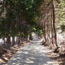 앵산약수터 이미지