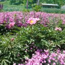 오솔길 농장 이미지