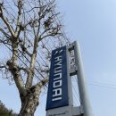 현풍점 현대자동차 이미지