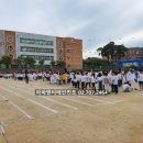 서산동문초등학교 | 충남 서산동문 초등학교 운동회 이벤트업체 진행 후기