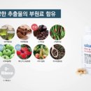 해독센터 이미지