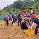 음성읍 주민자치센터 이미지