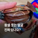 웃는얼굴 | 몽쉘 웃는 얼굴 찾기 후기 | 진짜 있다는데 왜 나는 안 나오지? 😂
