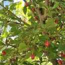 당사마을회관 이미지